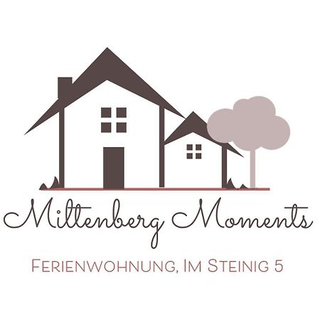 Miltenberg Moments Ferienwohnung エクステリア 写真